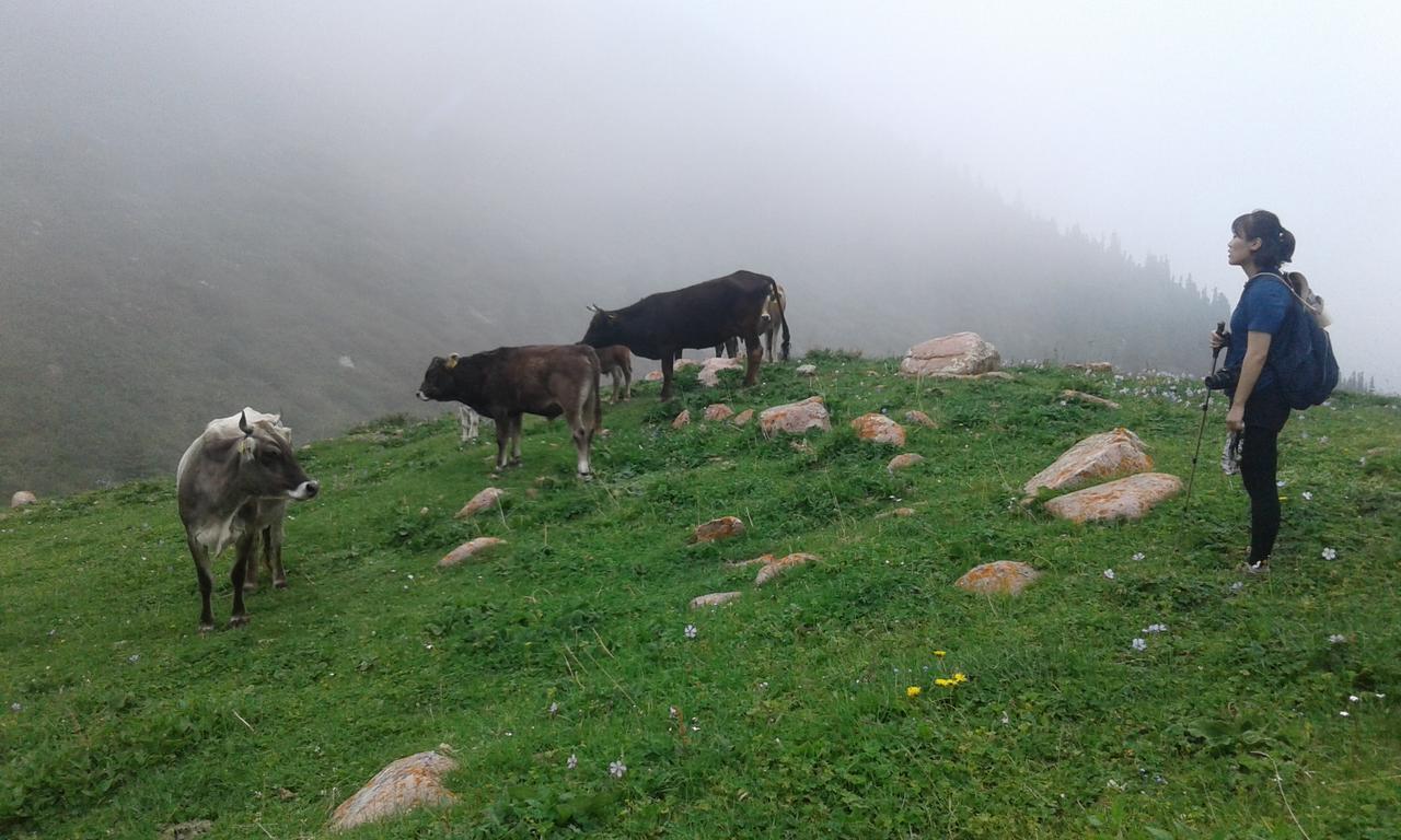 Trekking Center Hotel Bokonbayevo Luaran gambar